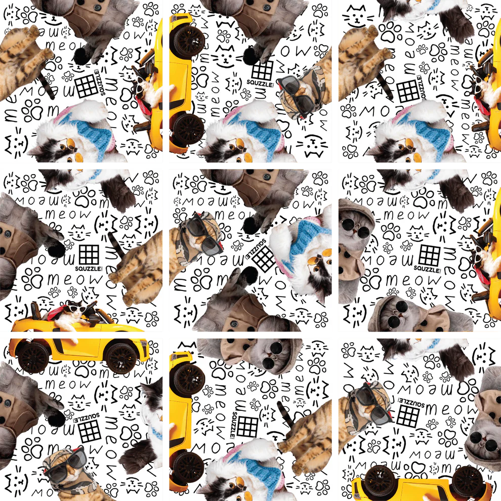 Cool Cats Squzzle Puzzle | Fun Squared Games