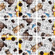 Cool Cats Squzzle Puzzle | Fun Squared Games