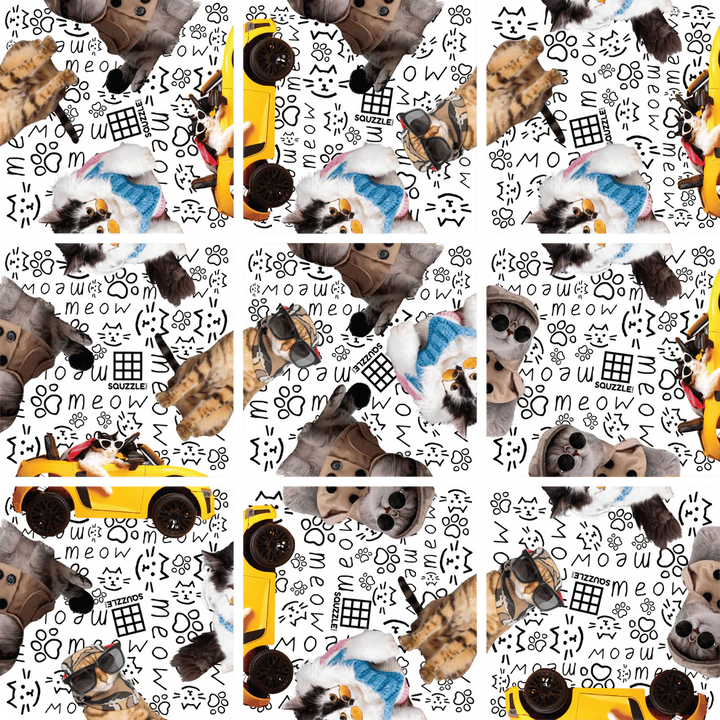 Cool Cats Squzzle Puzzle | Fun Squared Games