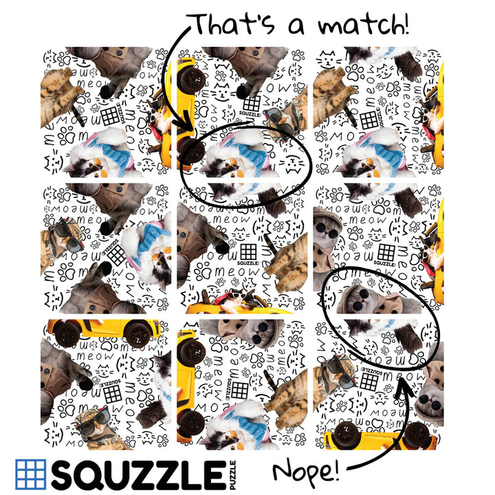 Cool Cats Squzzle Puzzle | Fun Squared Games