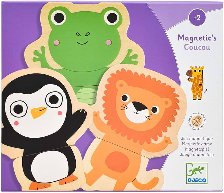 Wooden Magnetics Coucou | DJECO