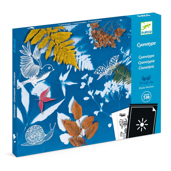 Cyanotype Starter Craft Kit | DJECO
