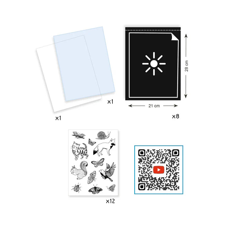 Cyanotype Starter Craft Kit | DJECO