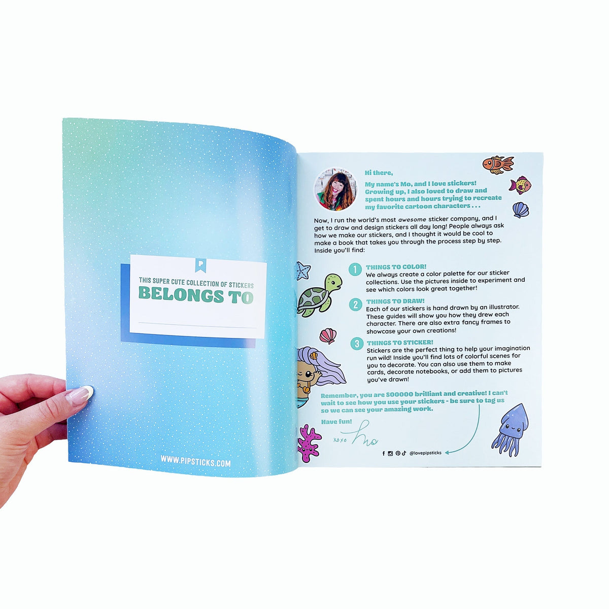 Draw-Along Sealife Sticker Book | Pipsticks