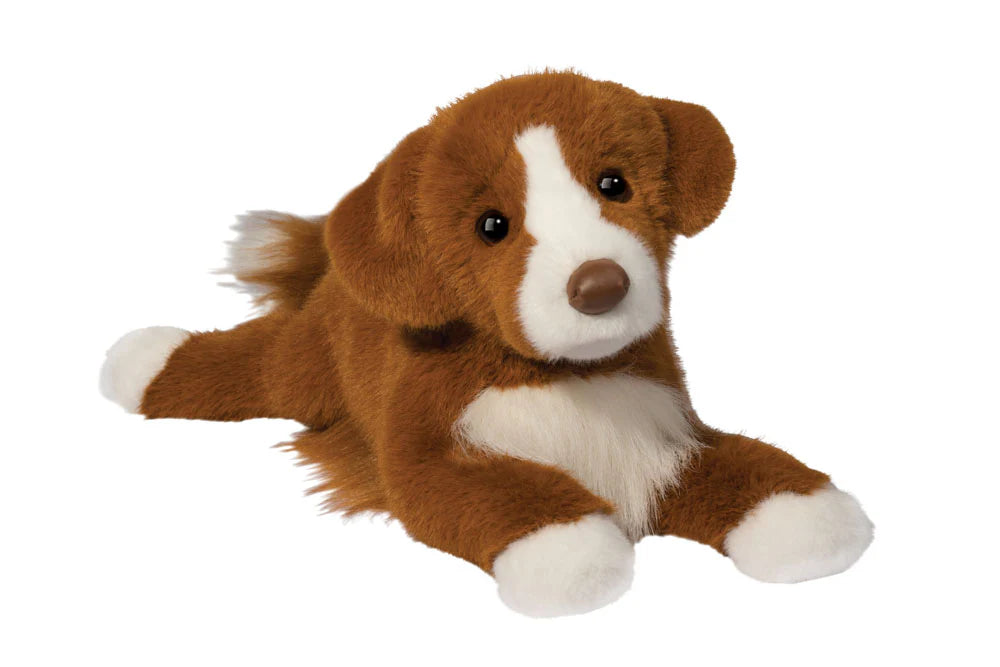 Rush Duck Tolling Retriever | Douglas