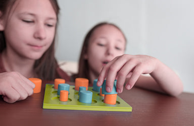 Gobblers on the Go! | Blue Orange Games
