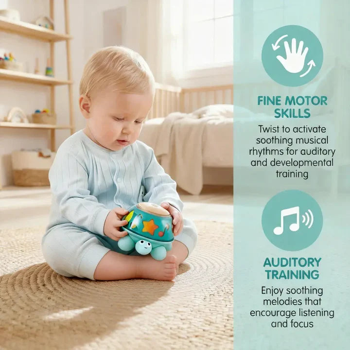 Twist & Tune Turtle | Hape