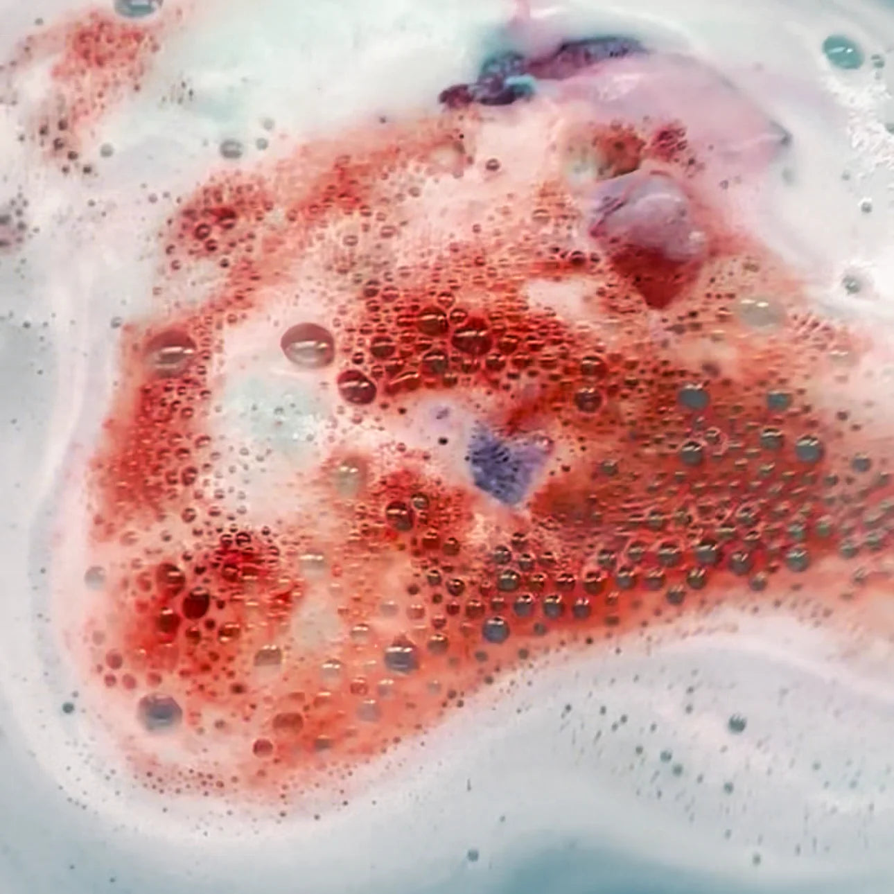 Shark Attack - Prize Bath Bomb | Sweet Bath Co