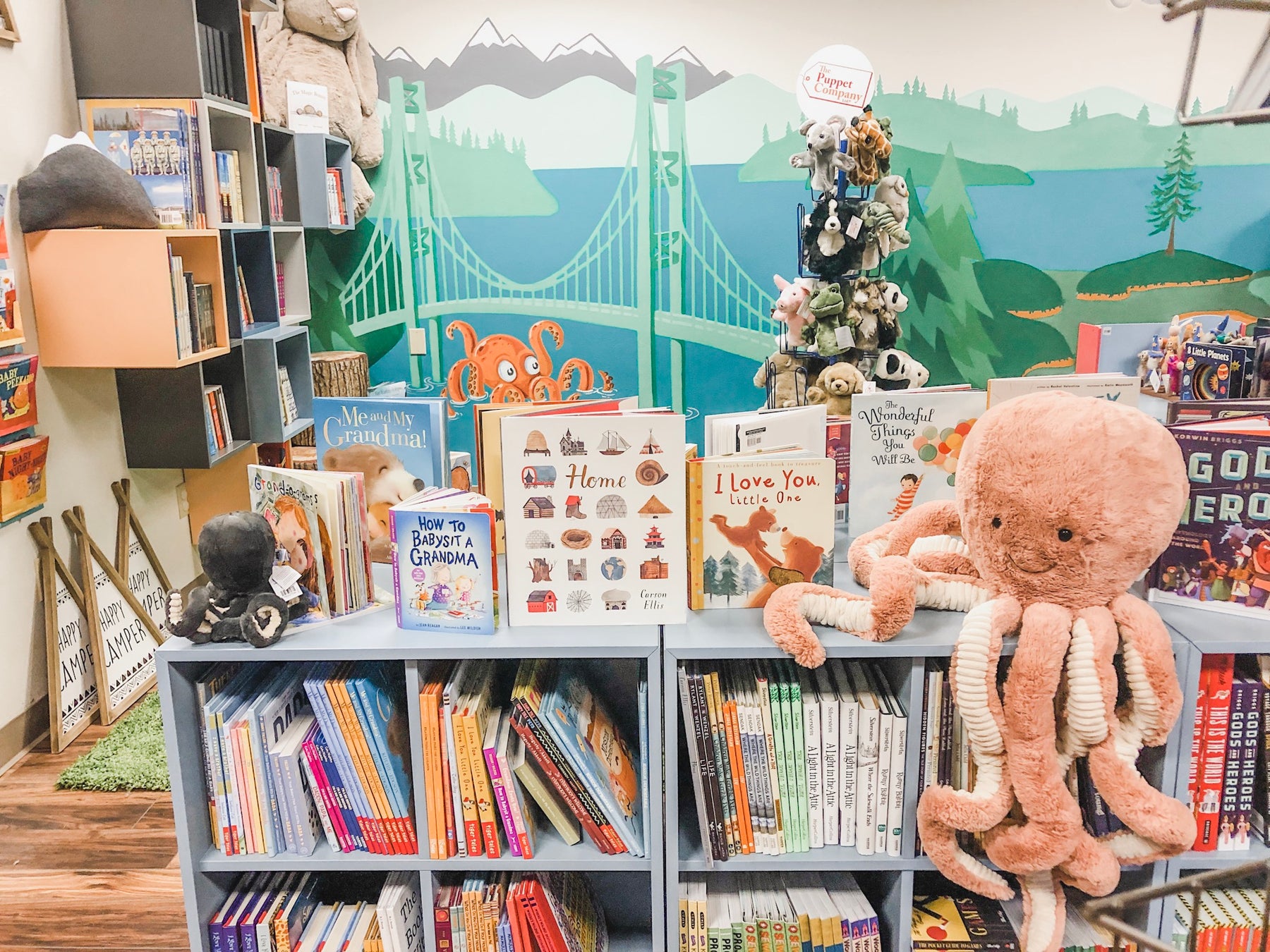 Bunk 9's Guide to Growing Up – The Curious Bear Toy & Book Shop