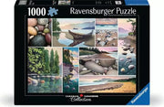 West Coast Tranquility - 1000 pc | Ravensburger