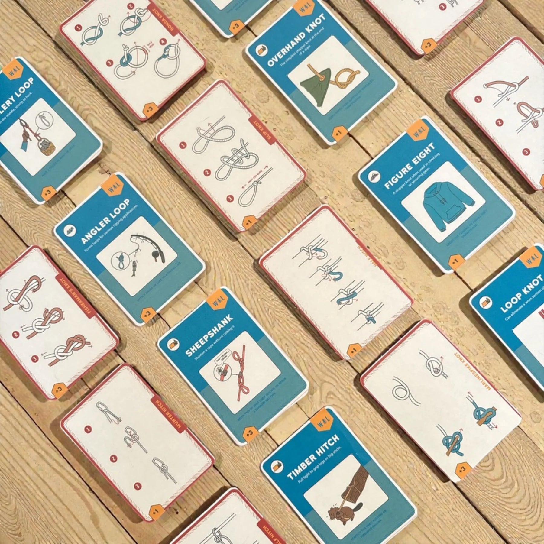 Know the Ropes Game | Wild Life Adventures