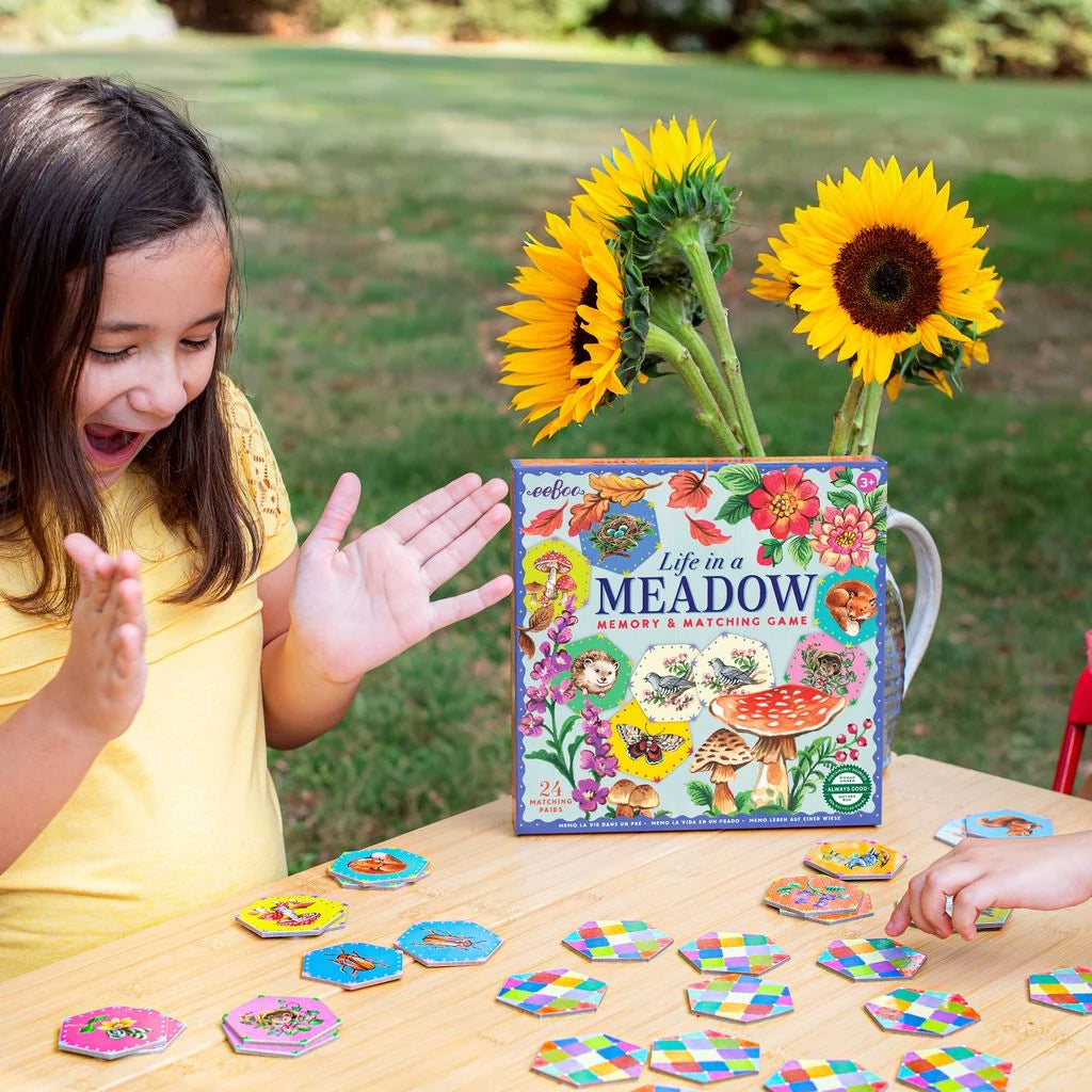 Life in a Meadow Matching Game | eeBoo