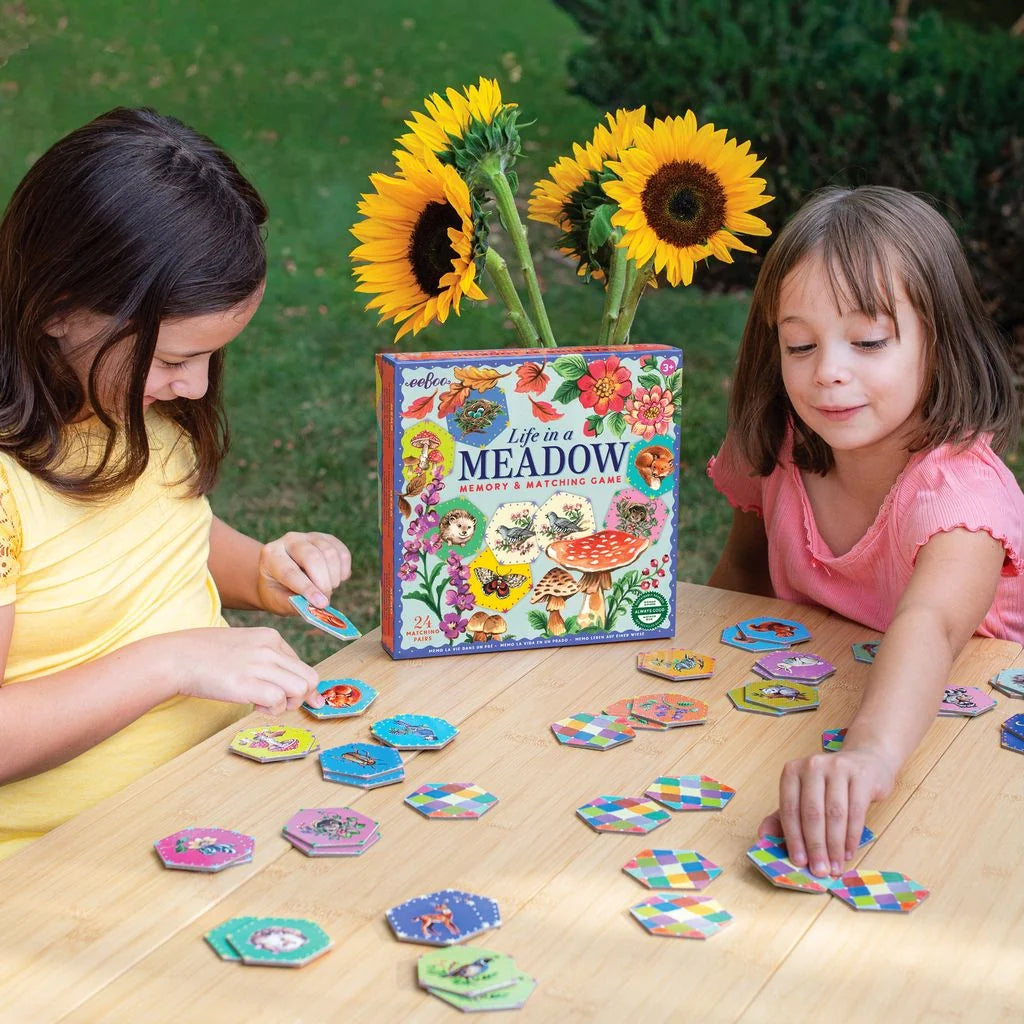 Life in a Meadow Matching Game | eeBoo