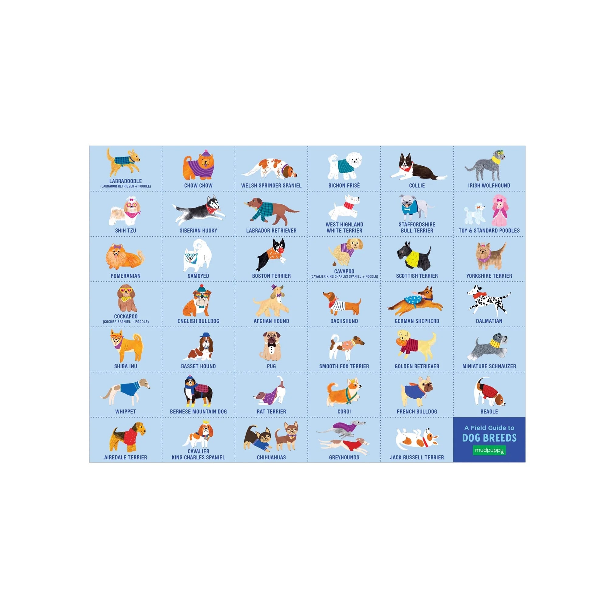 Doggie Days 64 Pc Search and Find Puzzle | mudpuppy