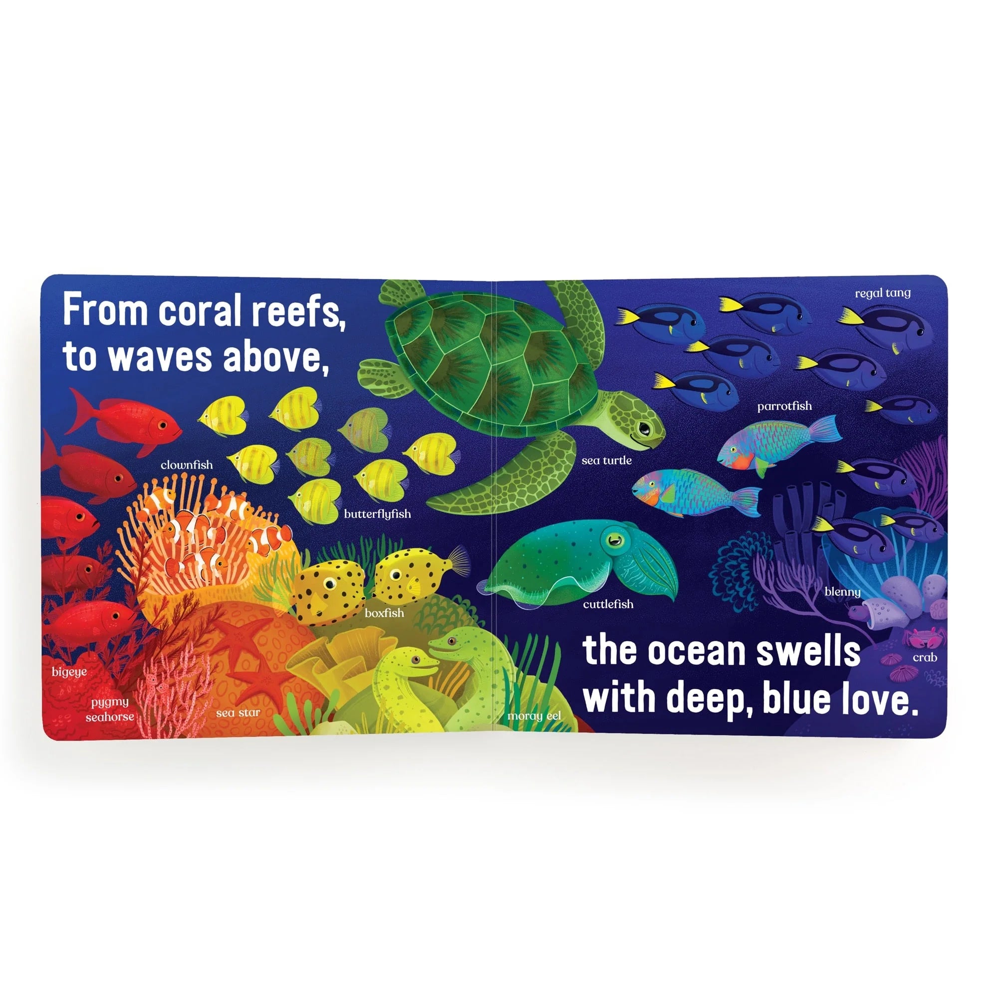 Love Under the Sea