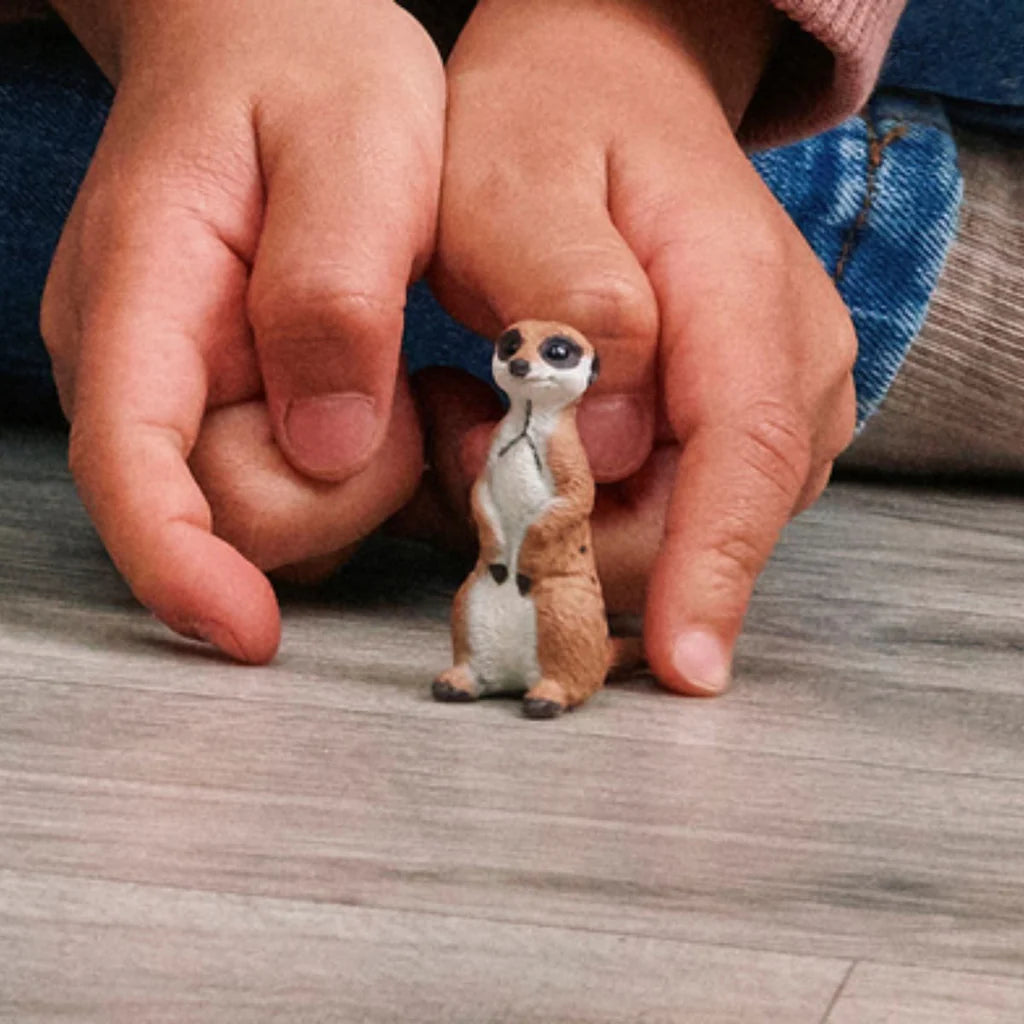 Meerkat | Schleich