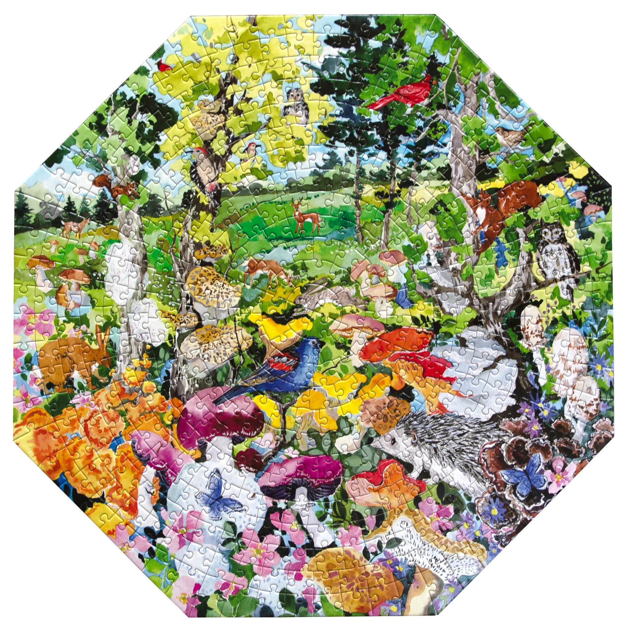 Edible Mushrooms 500 Pieces Puzzle | eeBoo