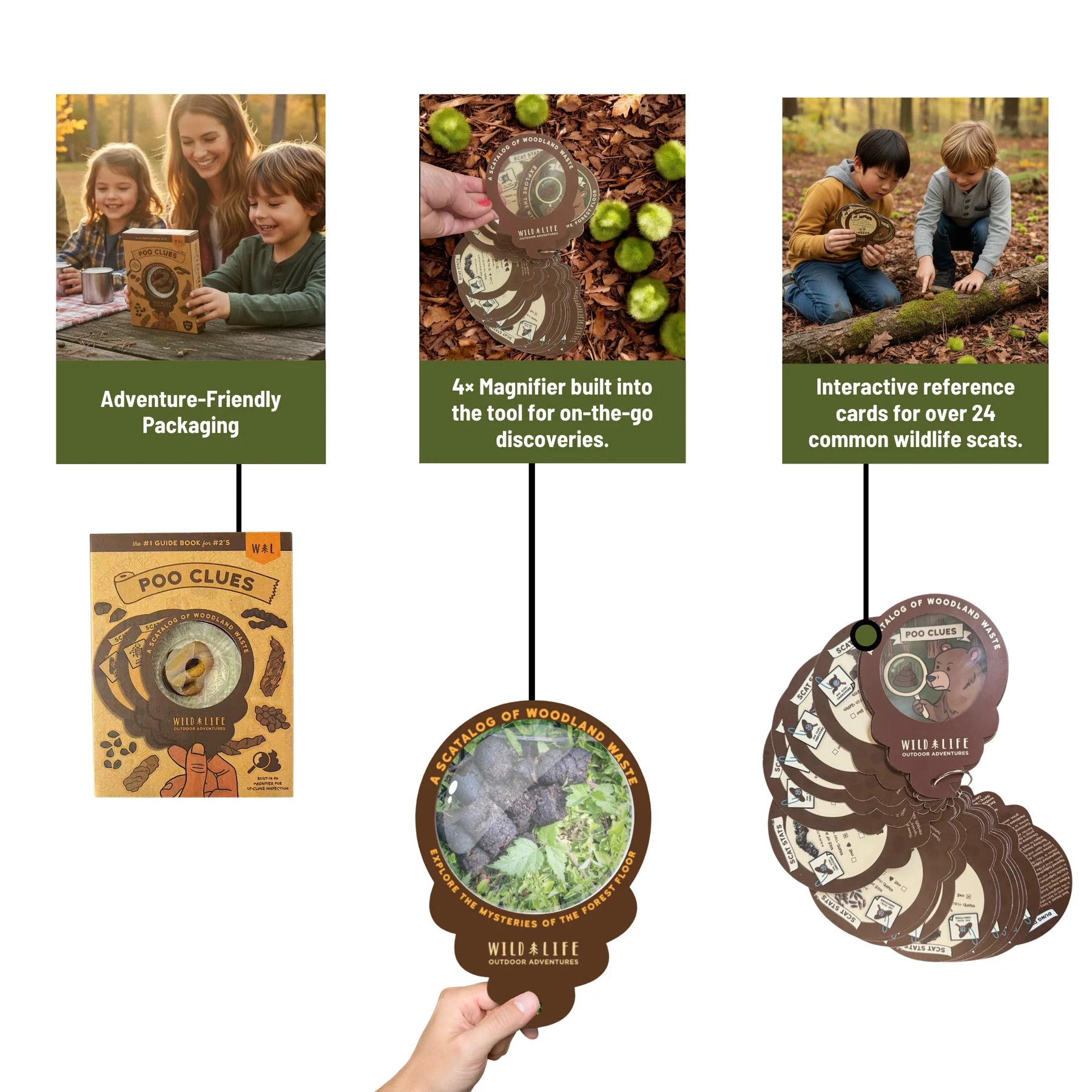 Poo Clues - Scat Identification Guide | Wild Life Adventures