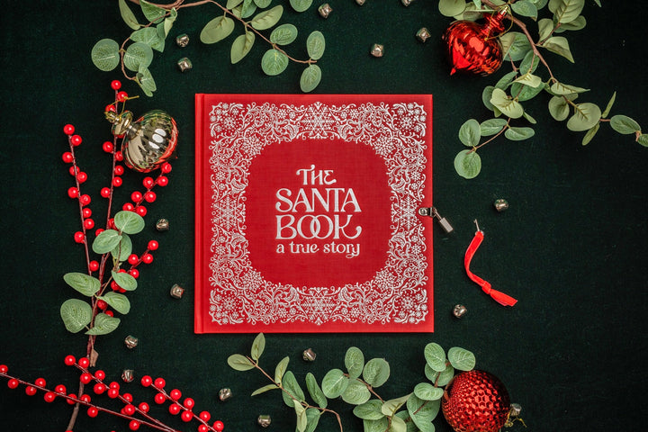 The Santa Book: A True Story - LOCAL PICK UP ONLY