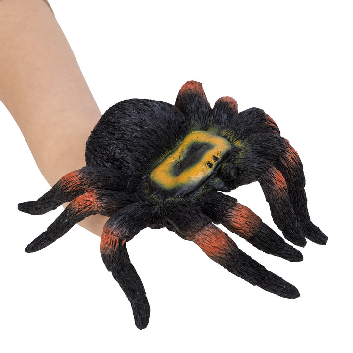 black spider on hand