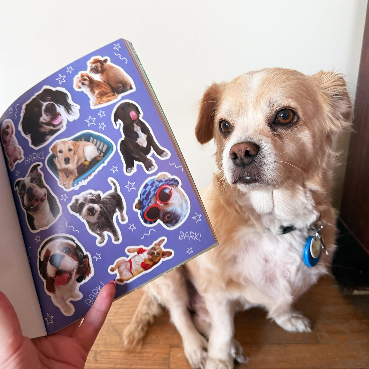 Dog-gone Adorable Dog Sticker Book | Pipsticks