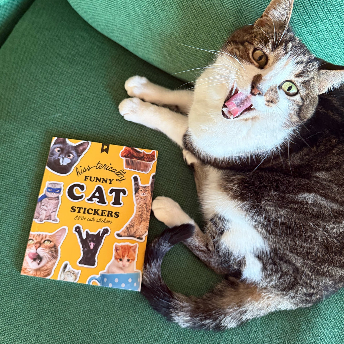 Hiss-terically Funny Cat Sticker Book | Pipsticks