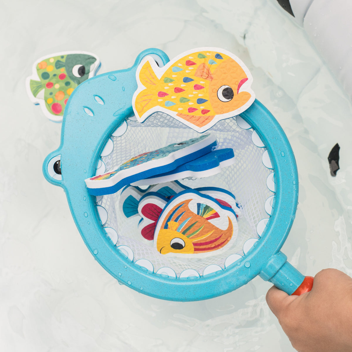 Shark Chasey - Catch a Fish ECO