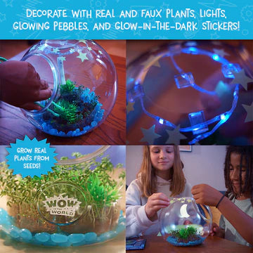 Wow in the World: Light-Up Terrarium