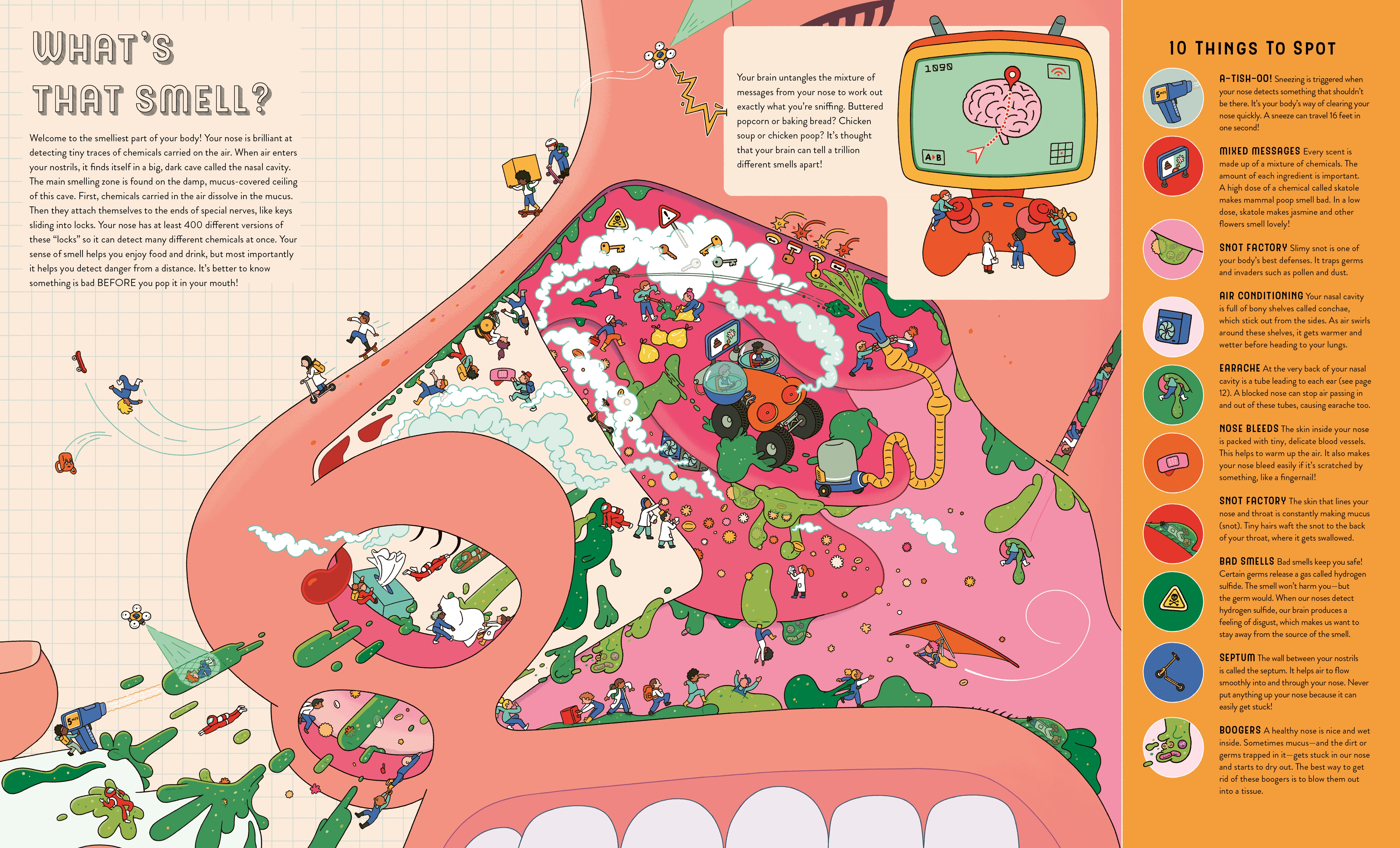 Up Close and Incredible: Human Body