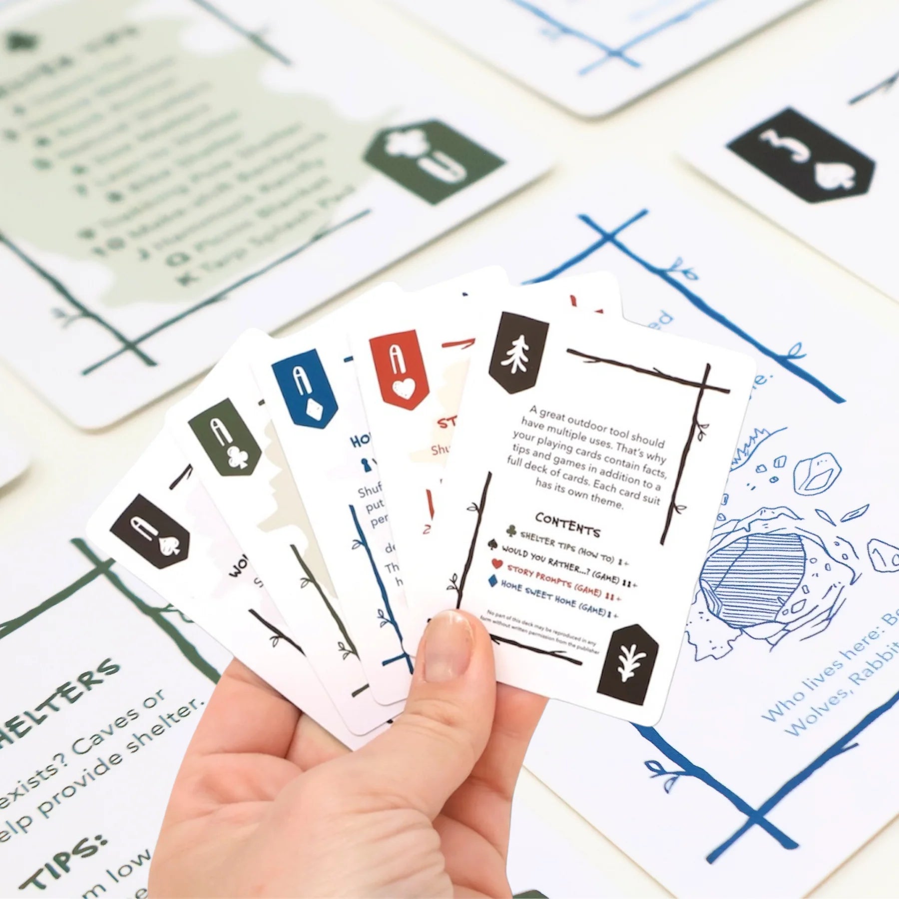 Take Cover 4 In 1 Card Deck | Wild Life Adventures