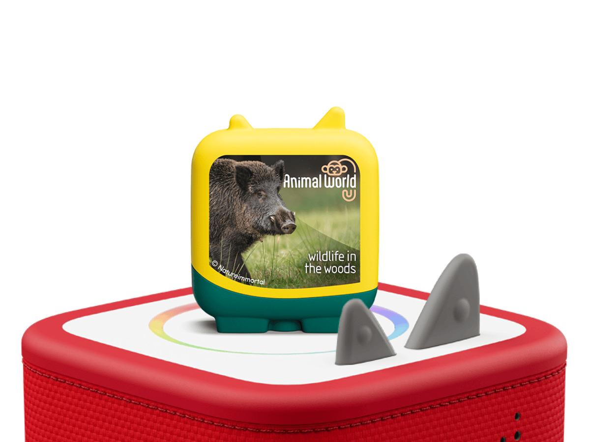 Clever Tonies Set: Animal World Wildlife in the Woods | Tonies