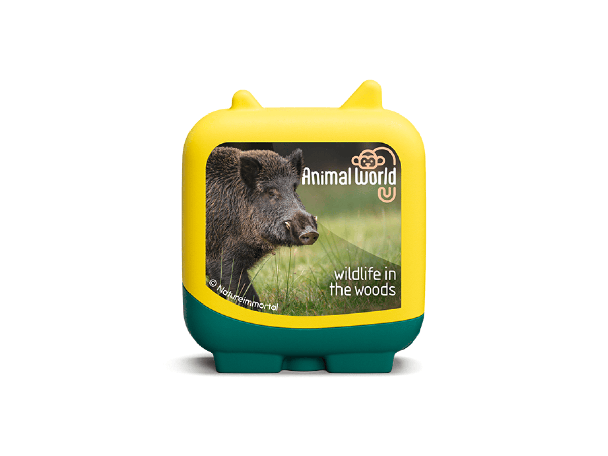 Clever Tonies Set: Animal World Wildlife in the Woods | Tonies