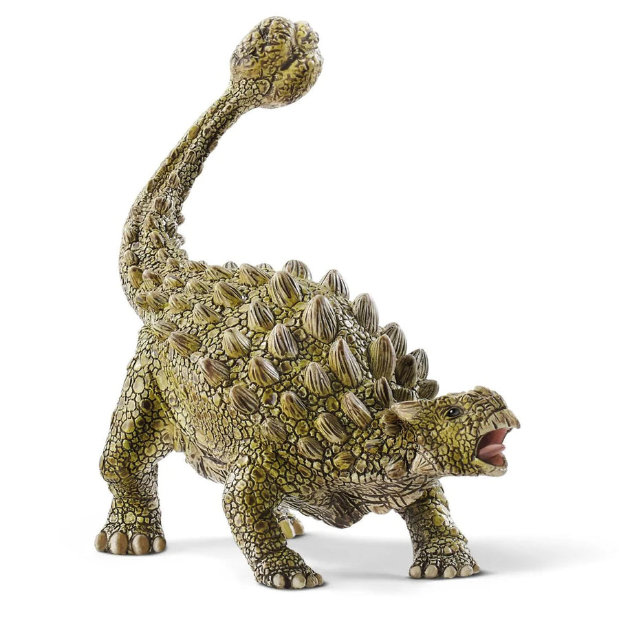 front side view of ankylosaurus 