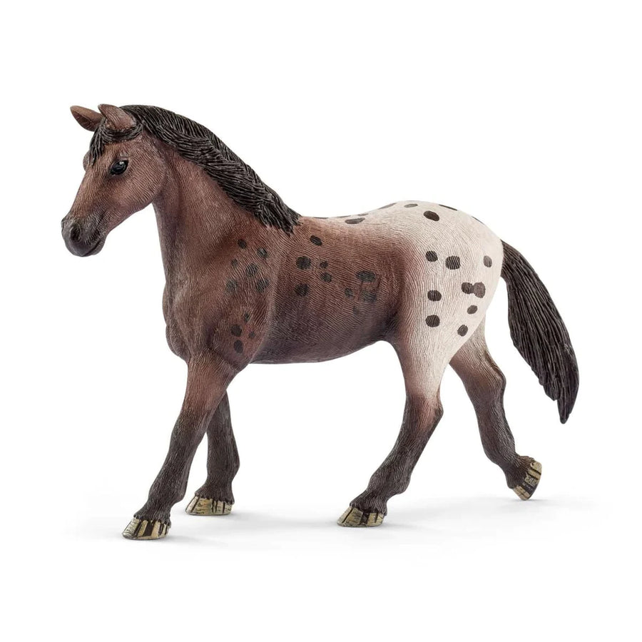 side view of appaloosa mare