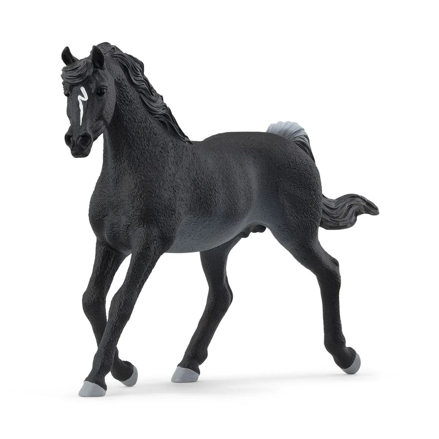 angled side view of stallion