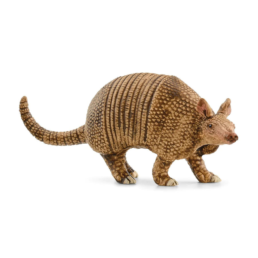 side view of armadillo