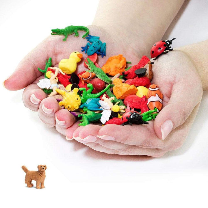 Golden Retrievers | Good Luck Minis