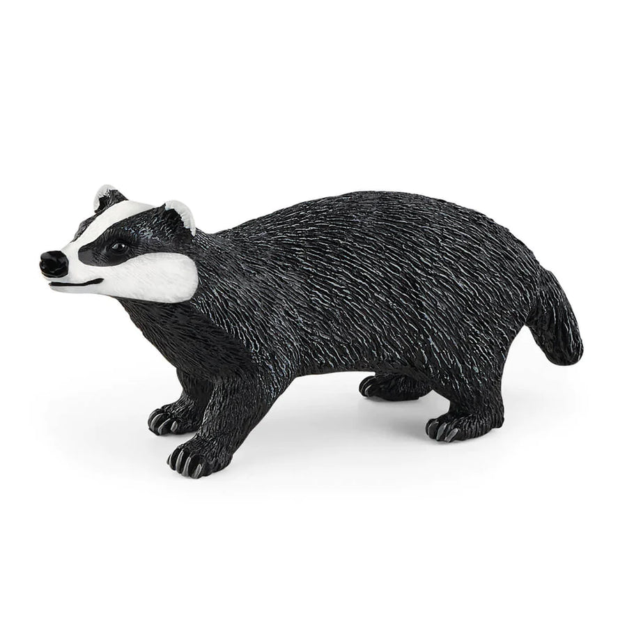 angled side view of badger