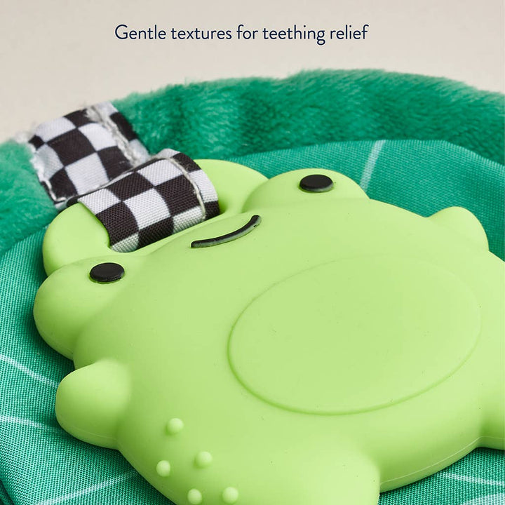 Sweetie Crinkle™ Frog Teether | Itzy Ritzy