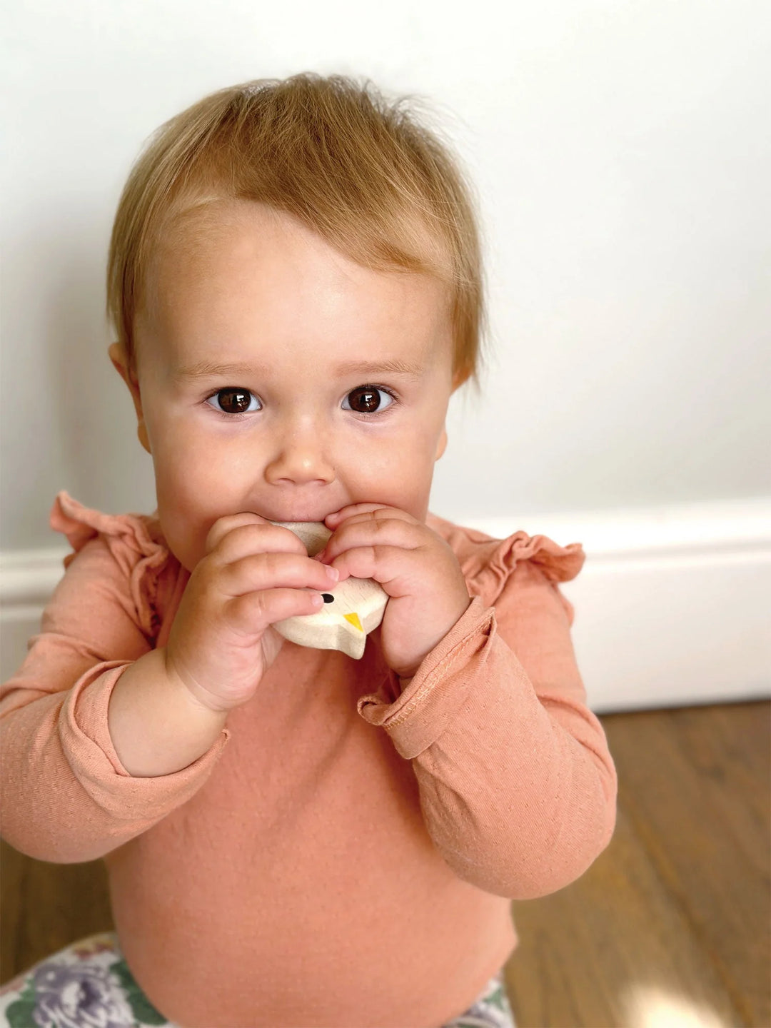 Bird & Kitten Teethers | Mentari Toys