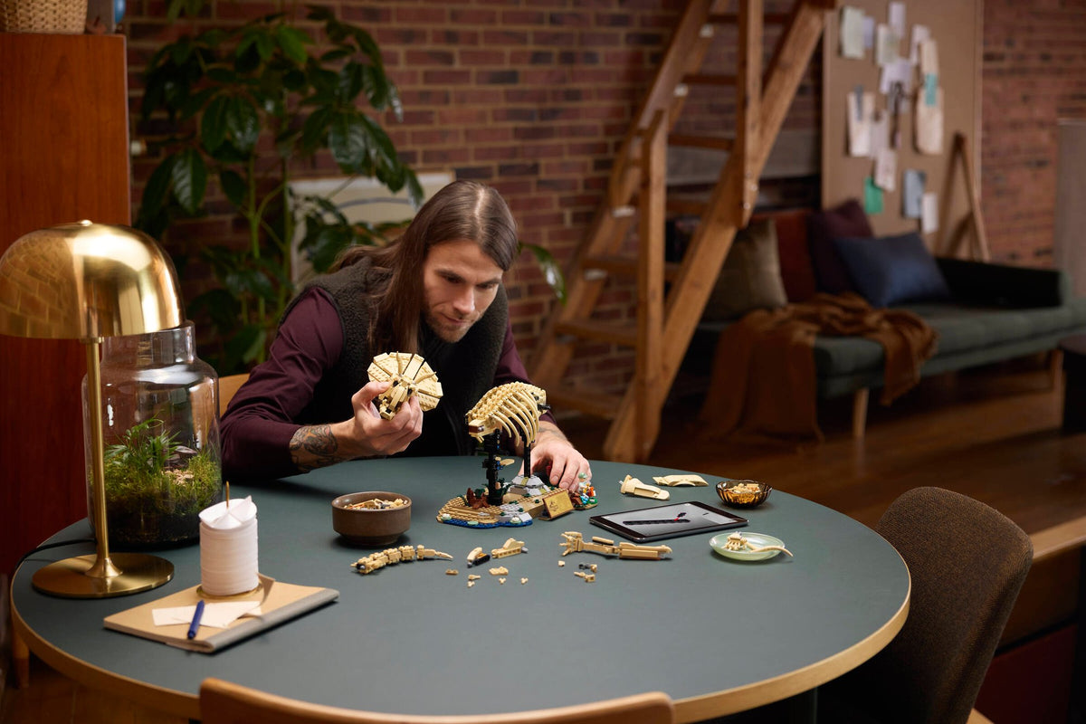 Jurassic World Dinosaur Fossils: Triceratops | LEGO