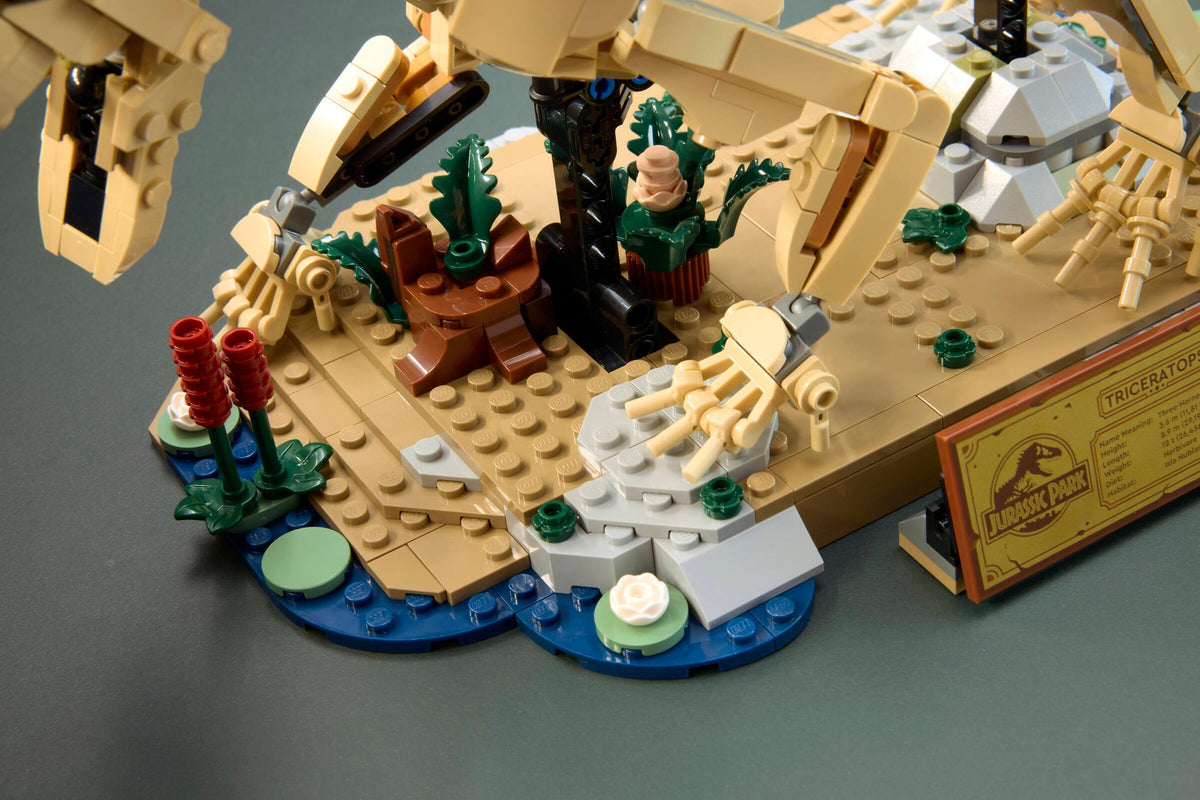 Jurassic World Dinosaur Fossils: Triceratops | LEGO