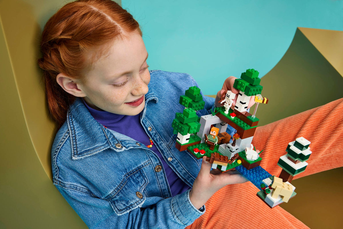 Minecraft First Night Adventure | LEGO
