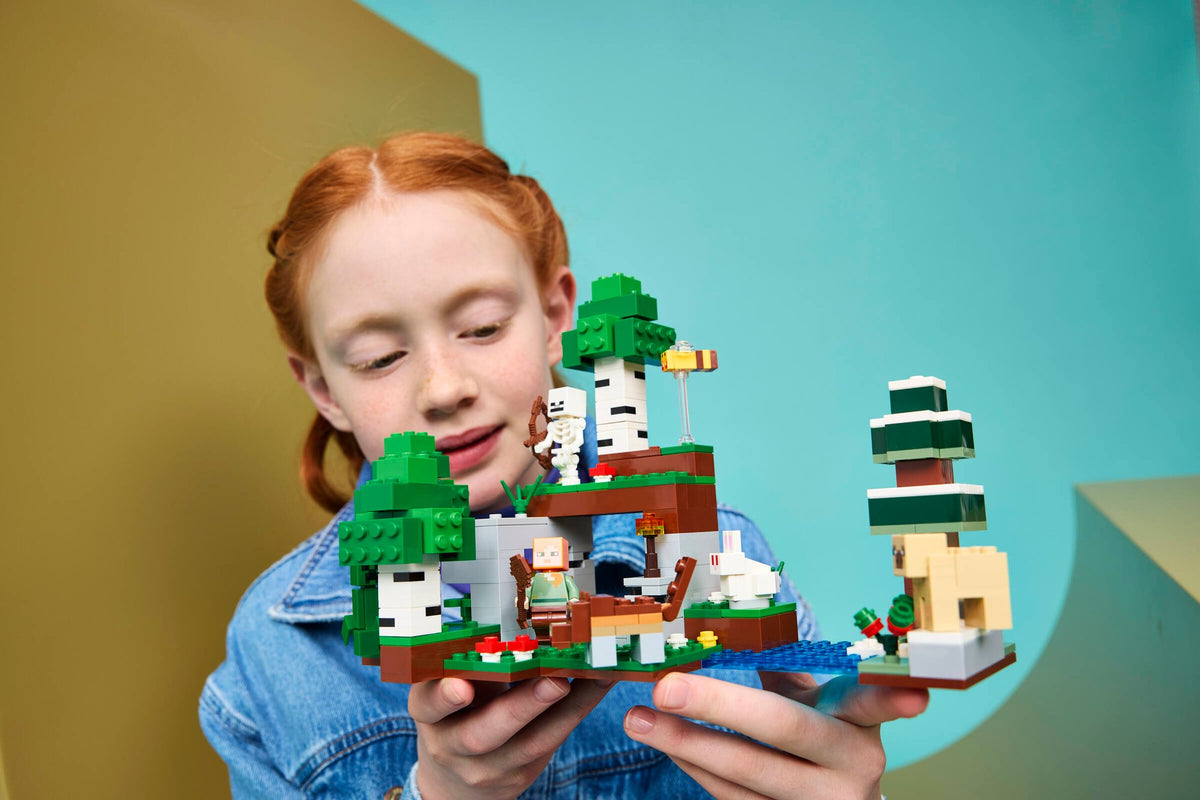 Minecraft First Night Adventure | LEGO