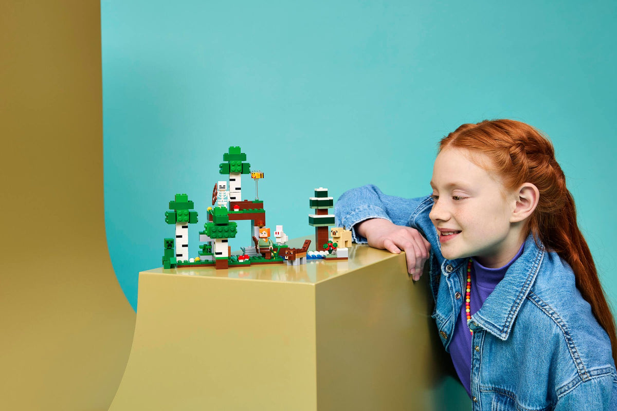 Minecraft First Night Adventure | LEGO