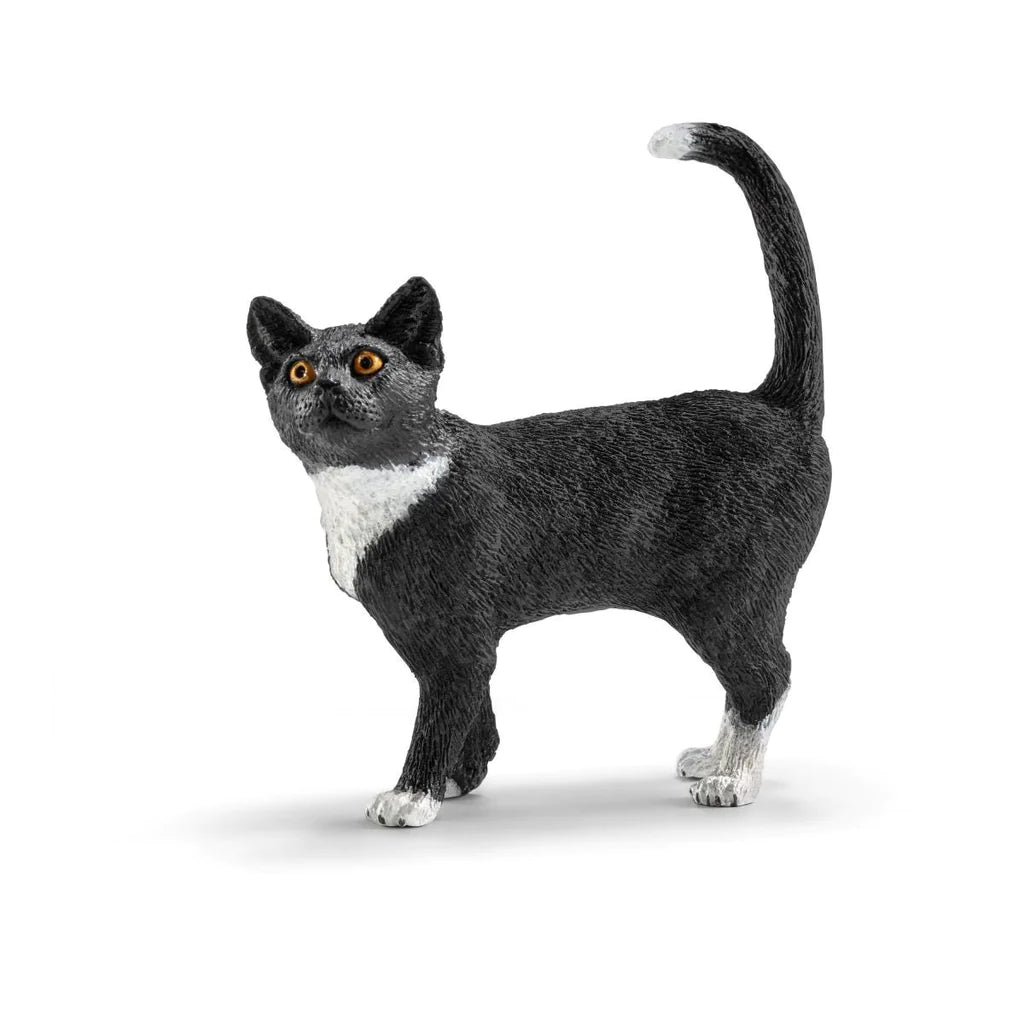 side view of cat