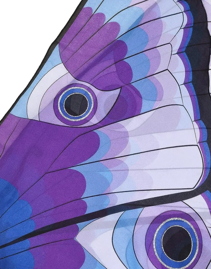 Purple and Blue Butterfly Wings | Douglas