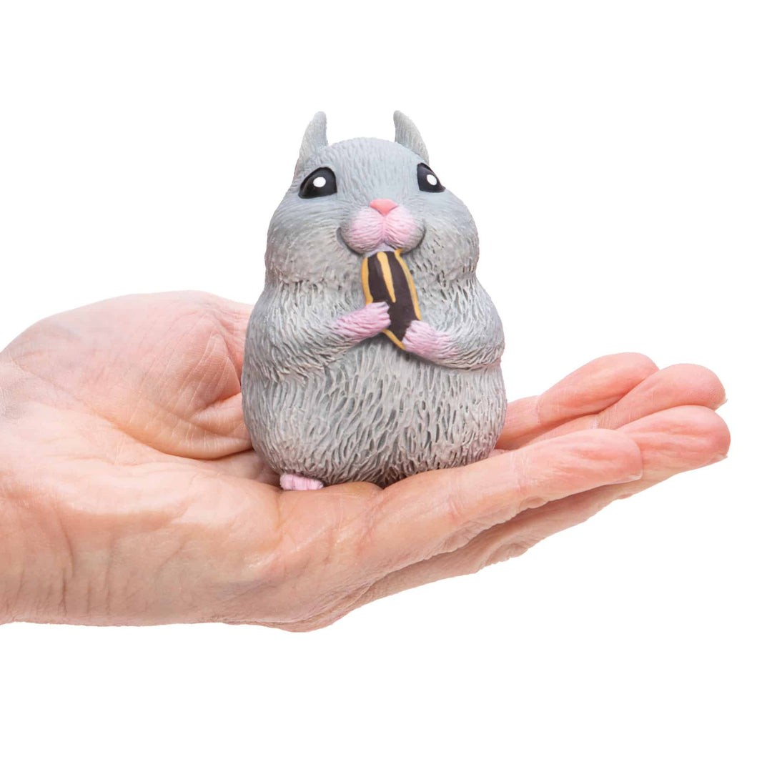 gray hamster sitting in palm