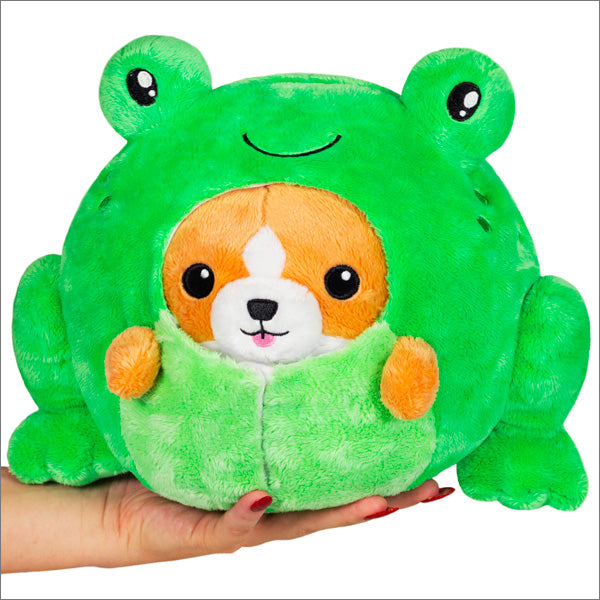 front view of corgi in frog