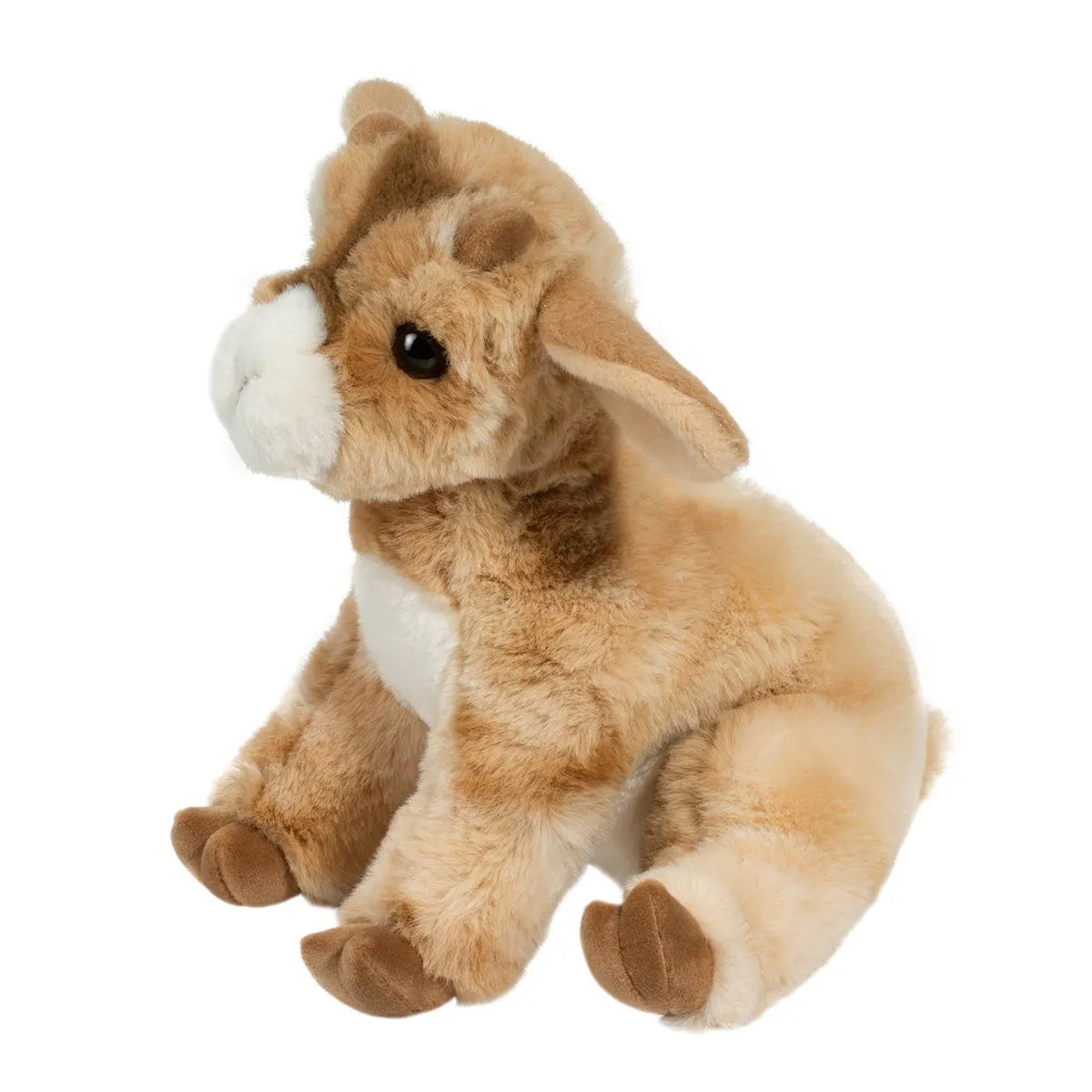 Dandie Soft Goat | Douglas